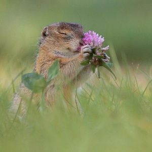 Meet your Posher, Sasha